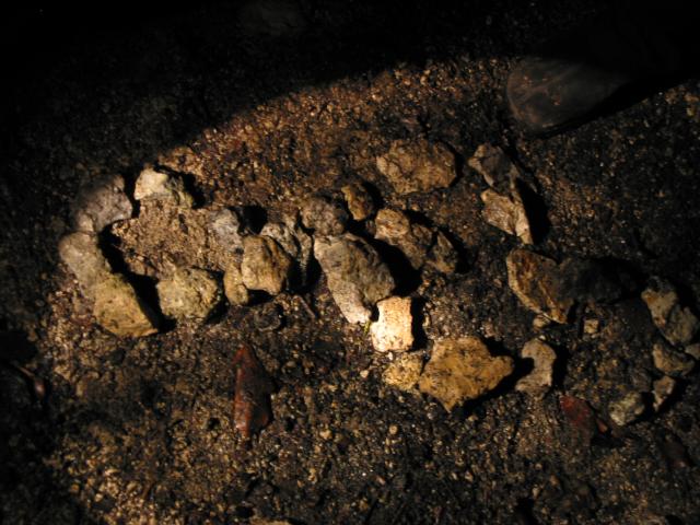 020896_Notenschluessel.jpg
