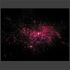 021688_Galaxis_Verenae.jpg