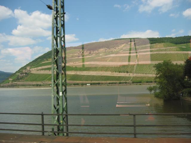 023088_Rheintal.jpg