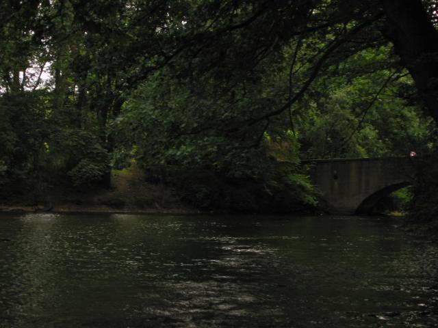 023276_Im_Park.jpg