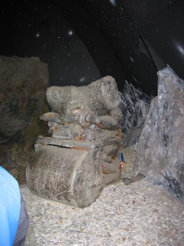 024155_Steinfresser.jpg