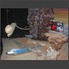 024149_PlaneCrash-Modell.jpg