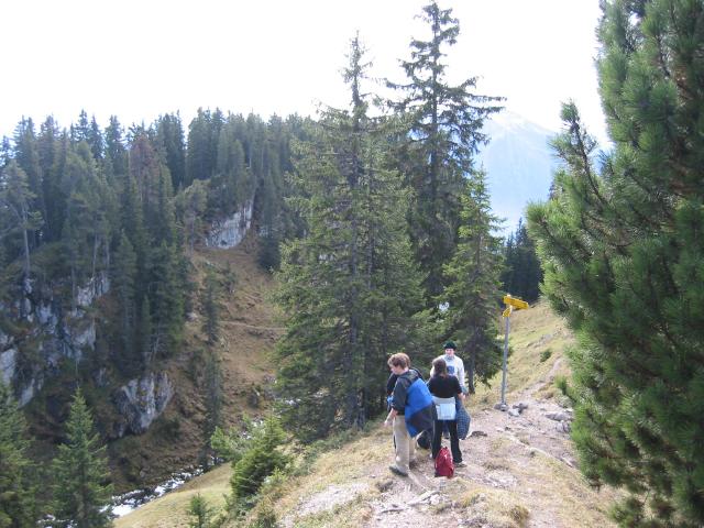 024395_Auf_halber_Hoehe.jpg