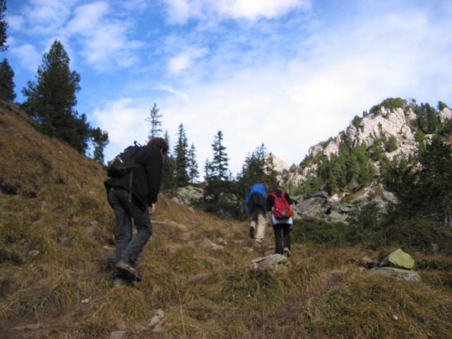 024397_Steil_bergauf.jpg