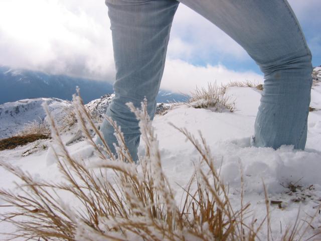 024445_Vereiste_Graeser.jpg