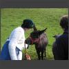 024387_Verena_mit_Esel.jpg