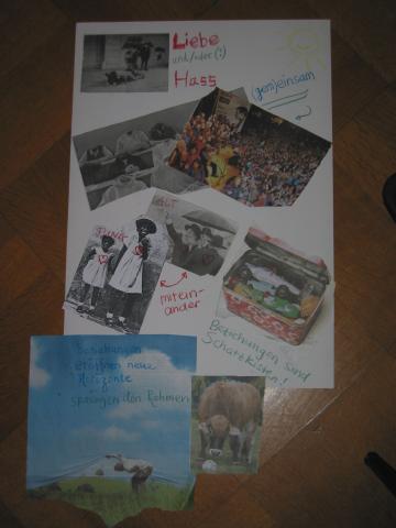 024770_Collage.jpg