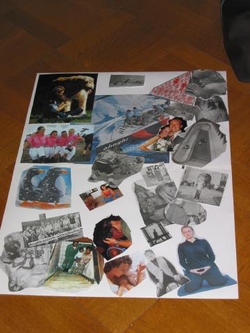 024771_Collage.jpg