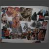 024767_Collage.jpg