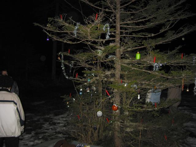024844_Christbaum.jpg