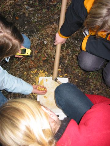 025388_Chips_zerschlagen.jpg