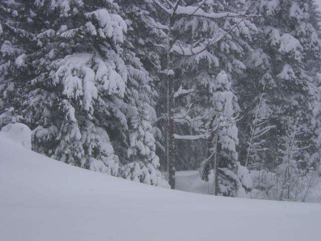 030408_Schnee.jpg