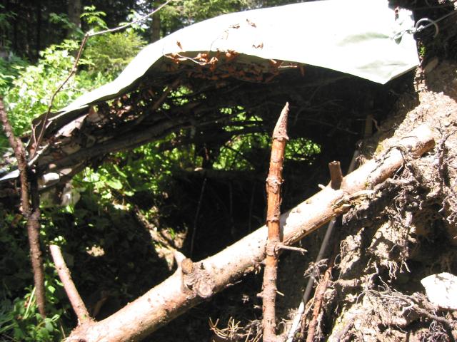 031669_Huette_6.jpg