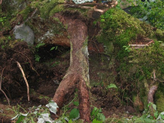 032537_Aztekendorf.jpg
