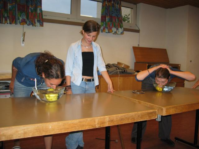 033356_ApfelOhneHaendeEssen.jpg