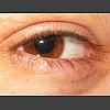 034177_Patricias_Auge.jpg