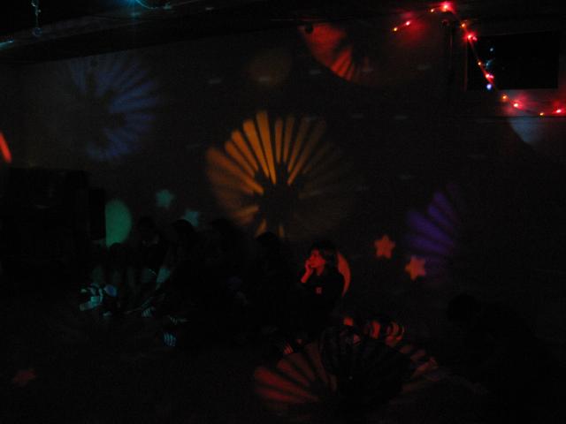 034491_Disco_Flower.jpg