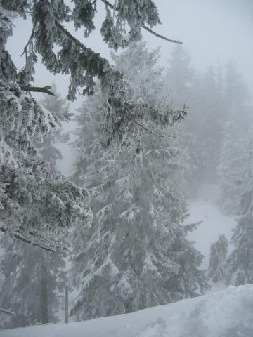 034903_Winterlandschaft.jpg