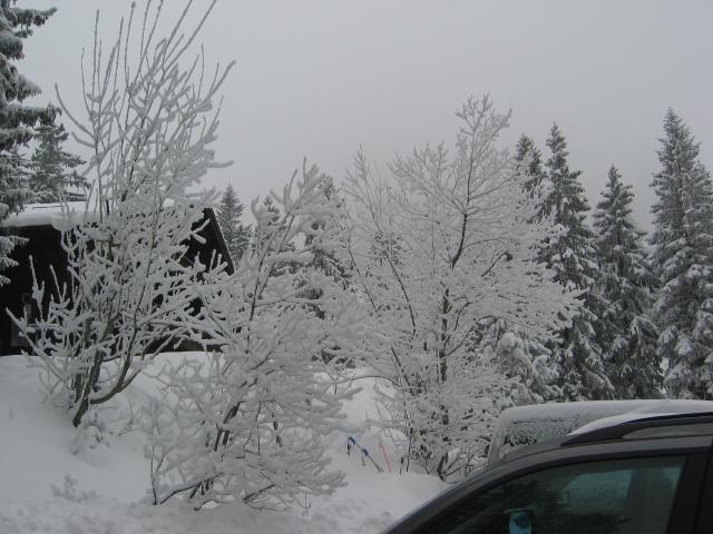 034925_Winterlandschaft.jpg