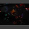 034491_Disco_Flower.jpg