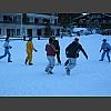 034506_und_seckle.jpg