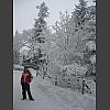 034916_Fabian_Winterlandschaft.jpg