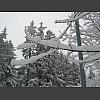034924_gefrorener_Ast.jpg