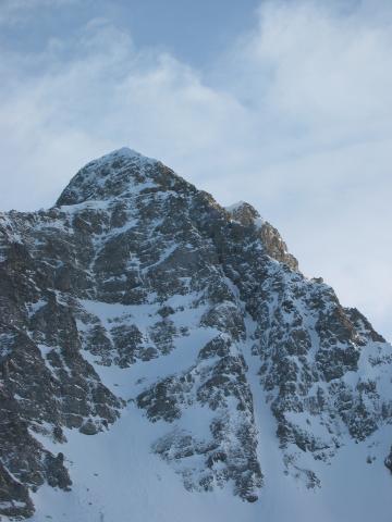 040351_Schafsnase.jpg