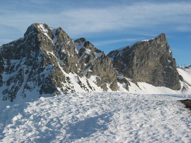 040725_Schafsnase_.jpg
