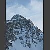 040351_Schafsnase.jpg