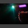 040560_Disco_Feeling.jpg