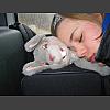 040901_Charlie_Anne_Dumont.jpg