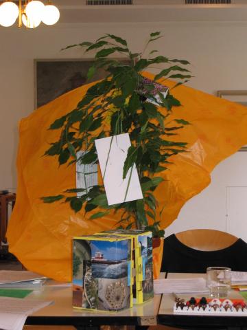 041463_Baum_fuer_Desiree.jpg