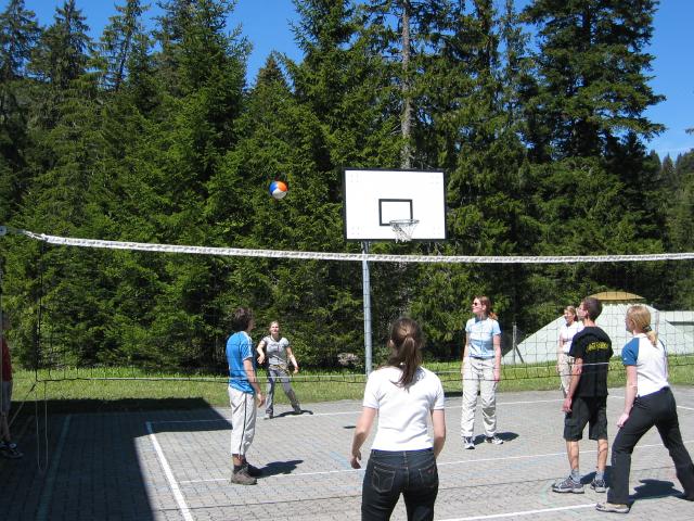 041753_Volleyball.jpg