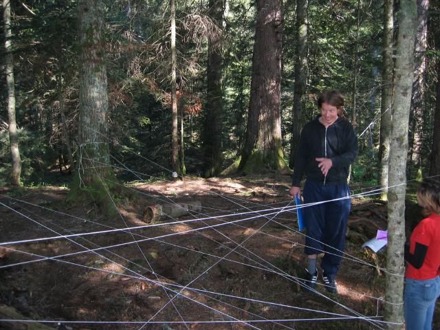 041798_Spinnennetz.jpg