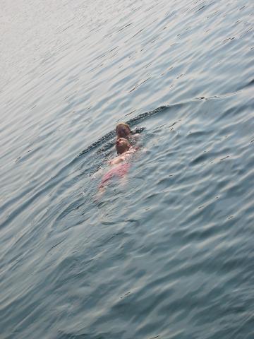 045800_Rettungsschwimmuebung.jpg