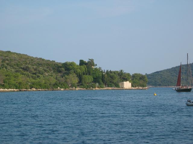 045858_Palmenkueste.jpg