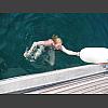 045786_Salome_am_Entern.jpg