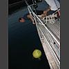 046184_Boje_fischen.jpg