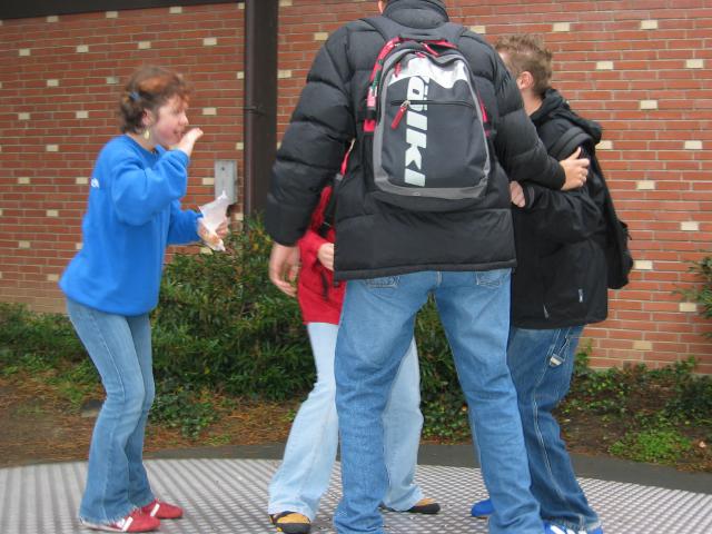 046860_Schaukelplatte.jpg
