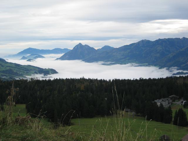 046883_Nebelmeer.jpg