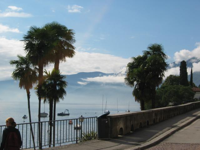 047236_Palmen_Lago_Maggore.jpg