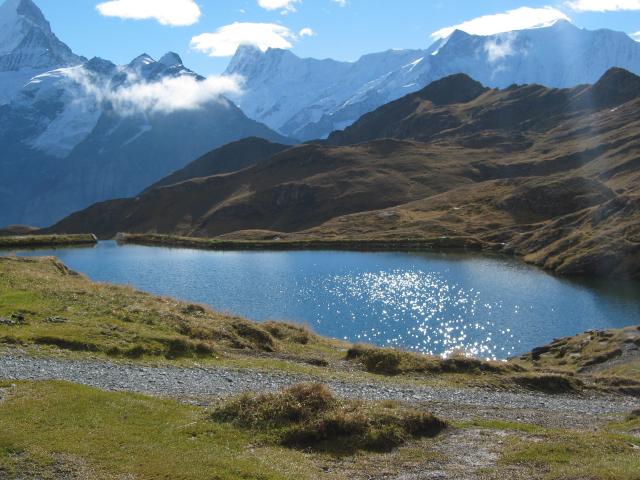 047454_Bachalpsee.jpg