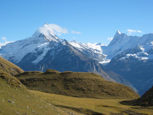 047492_Schreck-_Finsteraarhorn.jpg