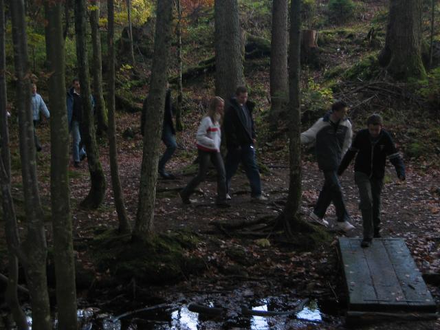 047585_Waldspaziergang.jpg