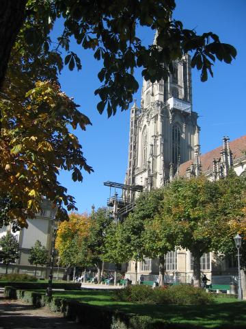 047847_Muenster.jpg