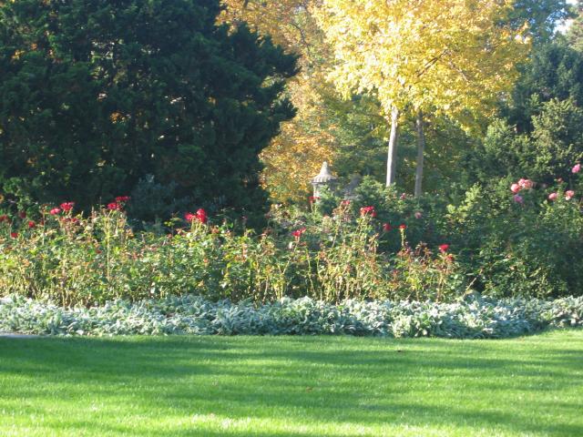 047907_Park.jpg