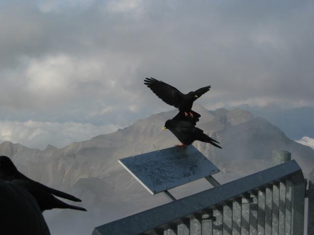 047977_Landeanflug.jpg