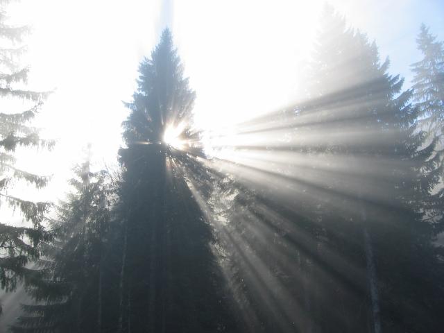 048451_Sonnenstrahlen.jpg