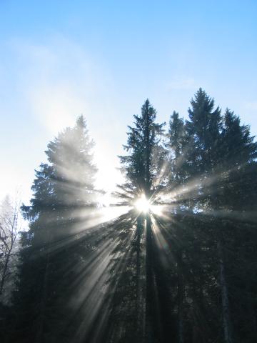 048455_Sonnenstrahlen.jpg